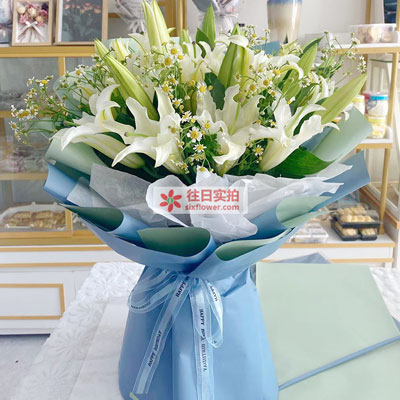 河源8支白色多头百合洋甘菊,互倾的思念