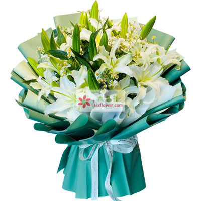 河源8支白色多头百合洋甘菊，如潮的思念